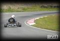 cart3.jpg